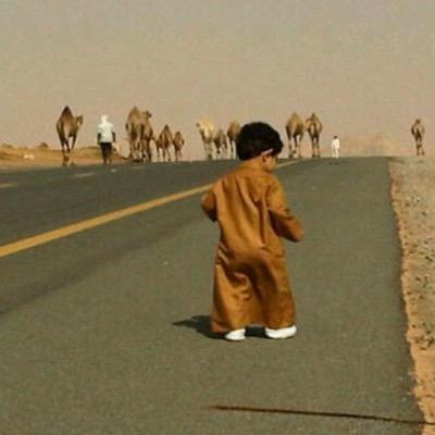 Badr_Alwa7bi's profile picture. آسطر مآ اشاء ولتفهمو مآ تشاءون الخاص مهمل