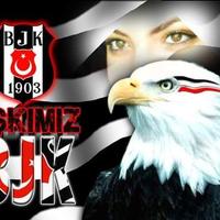 ※T.C. SEVDALI BJK※ (@ilkaskbjksonask) 's Twitter Profile Photo