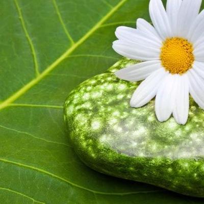 meinwortreich's profile picture. 