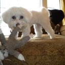 Steve Dreyer - @Sdreyer10 - Twitter