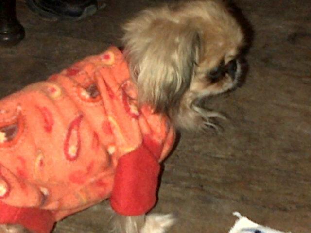 ramo_fernandez's profile picture. ...