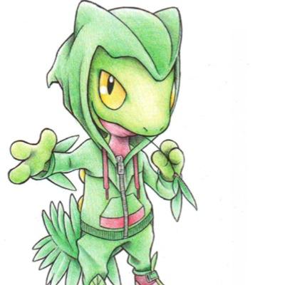 hello. As you are aware I am a Treecko.