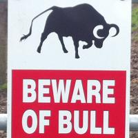 Anon Ymous (@g_ymous) 's Twitter Profile Photo