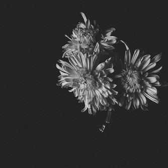 ياربي أسألك رضاك والجنة 🌸