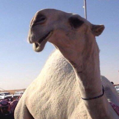 soog_511's profile picture. 