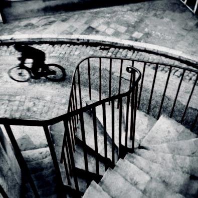 Franc_Lanz's profile picture. Non possiamo dirigere il vento, ma  possiamo orientare le vele. ⛵