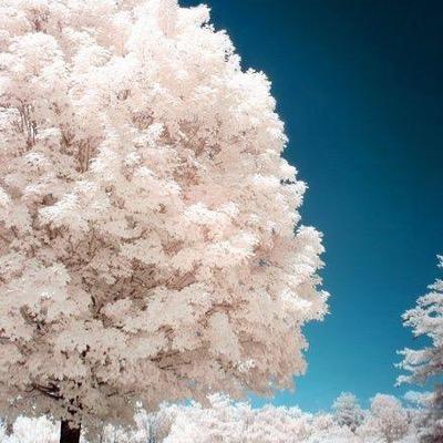 edugursoy's profile picture. 