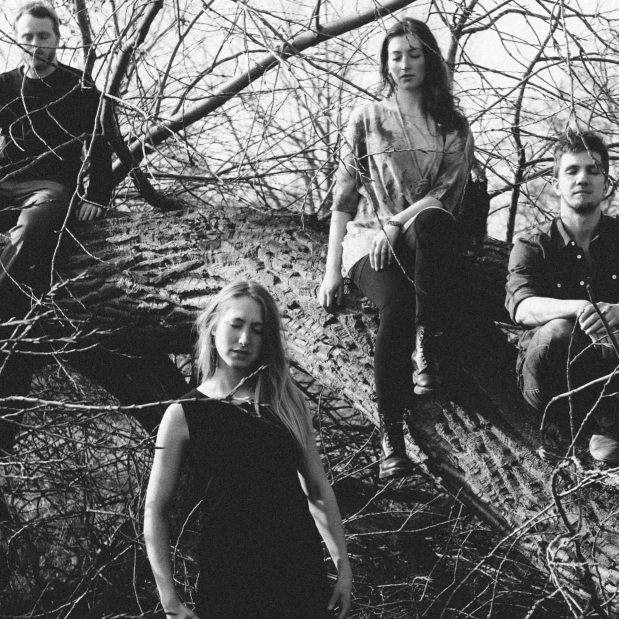 Scandinavian quartet from Aarhus, Denmark. https://t.co/1ci5t8rV9t