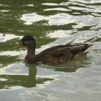 Xavier Hernàndez ☂️ (@xavieriprou) 's Twitter Profile Photo