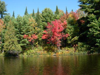 prenticea35's profile picture. 