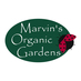 marvinsorganics (@marvinsorganics) Twitter profile photo marvinsorganics (@marvinsorganics) Twitter profile photo