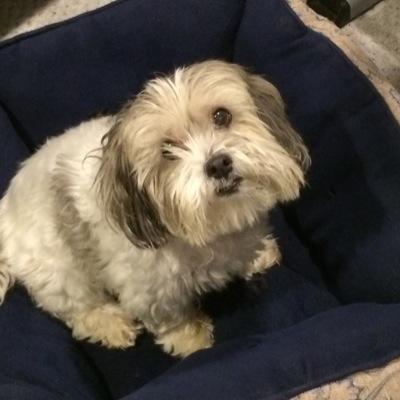 RiceNici's profile picture. just a girl looking for a reason ✌️ sworn in, real friends, set it off, crown the empire