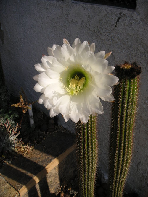 moaburns's profile picture. 