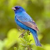 YramisMontao's profile picture. Asistente de farmacia, Costurera, Ama de casa.