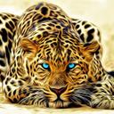 Hannah Gentry - @HannahGentry19 - Twitter