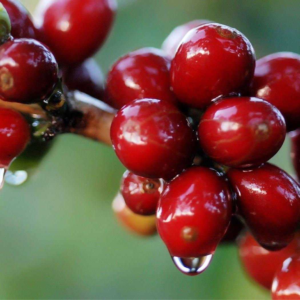 WWTIEU1's profile picture. Soy un filántropo.