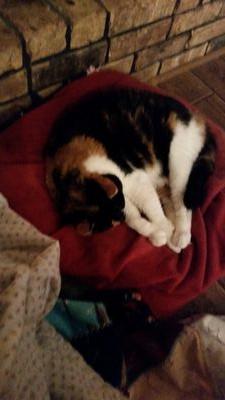 logalicious10's profile picture. 