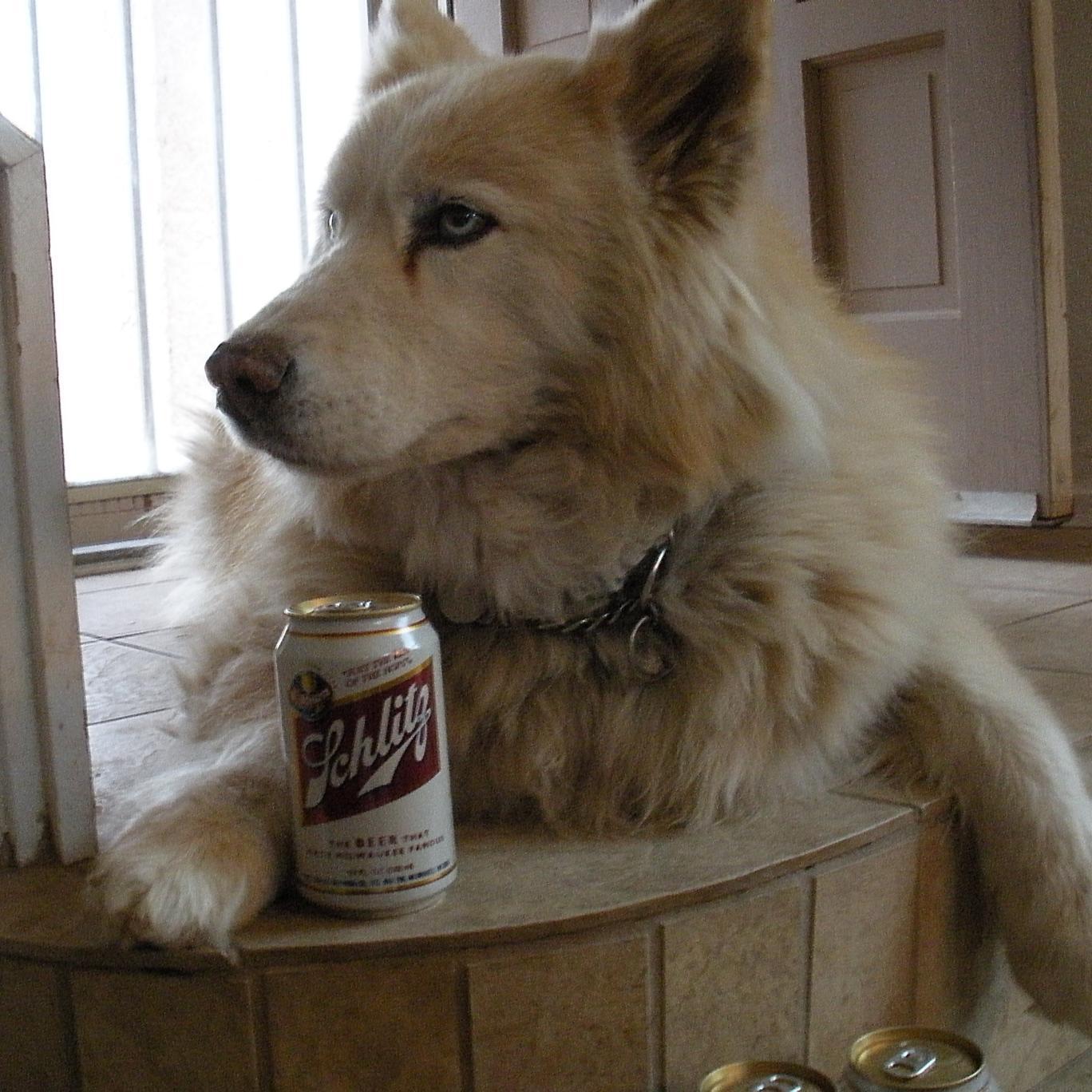 Dog lover.  My dogs love long walks, listen to liberal talk radio all day long, and live for bacon.