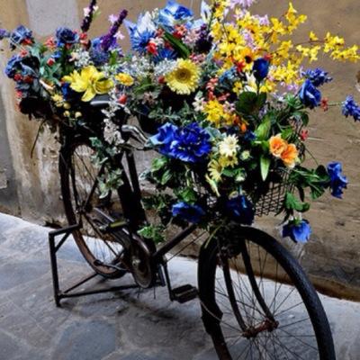 type_ny's profile picture. music lover 🎼 KEANE. There's a song to ease my fear,a song to take me far from here. One for joy,one for desire,one for despair.#Higherthanthesun #Keane