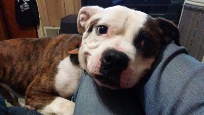 justeve_no_dave's profile picture. Cynical protagonist