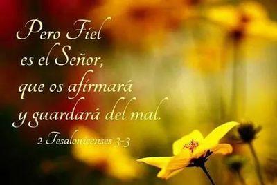 liliana_vega74's profile picture. Sigueme&teSigo