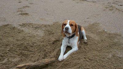 leeiree44's profile picture. 