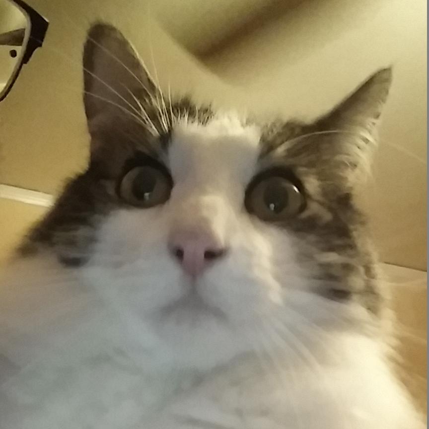 iBonkYou's profile picture. I bonk you.