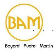 Bayard Audre Martin