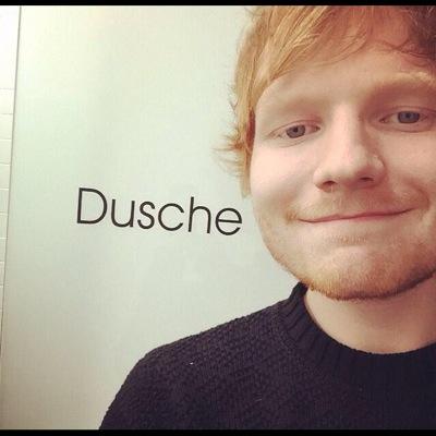 ed & hedgehogs