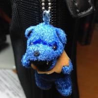 青いクマ＠雑司が谷/雑司ヶ谷？ (@aquirax110396) 's Twitter Profile Photo