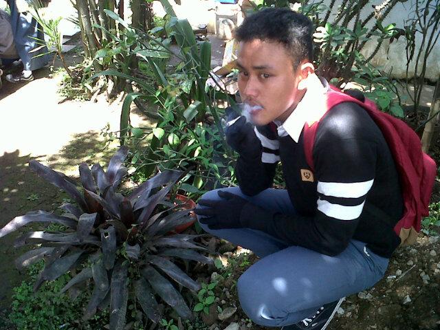 fredkur1's profile picture. 