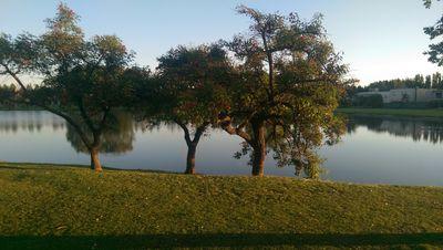 macflow46's profile picture. 