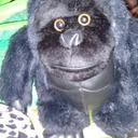 Alexander Brito de a - @admalexbrito - Twitter