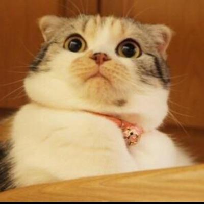 kjprivvv's profile picture. 