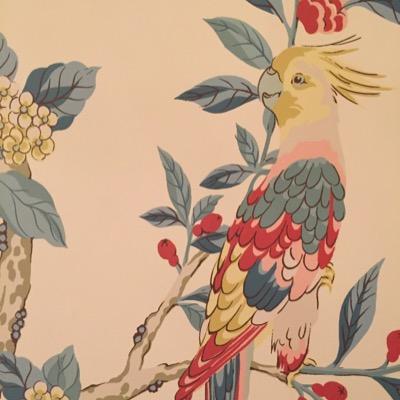 merrobyn's profile picture. 