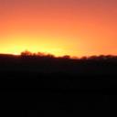 Sharon Whitson - @SharonWhitson - Twitter