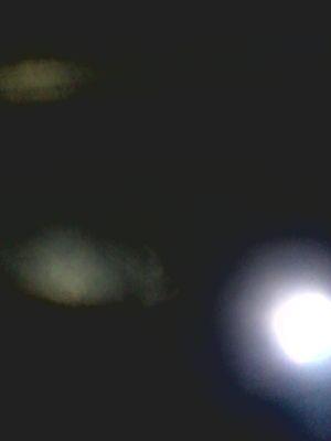 alizailani's profile picture. Terong di cabe in