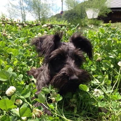 @ hida まだまだ飛騨弁が難しい？年目。