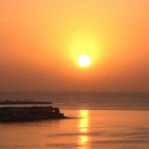 carmenjulia41's profile picture. 