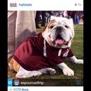 Bailey Henderson - @LeeisJ - Twitter