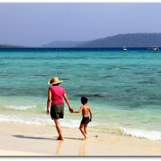 The Amazing Andaman is a unit of United Tours & Travels, and a leading #Tour #Planning Company of #Andaman