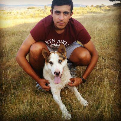 95.- Todo en la vida tiene su lógica.