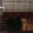 Andrew. Searles  - @smiles1673 - Twitter