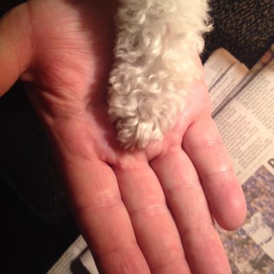 ducko1717's profile picture. 