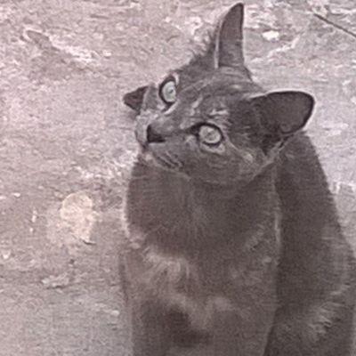 pienso. educo. amo. opino.