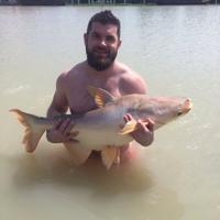 Daniel Mitchell (@danny13mitch) 's Twitter Profile