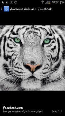 When your with me we will not think what we do