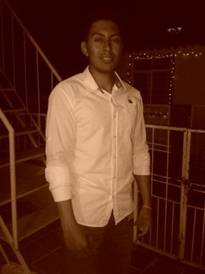 Software Developer