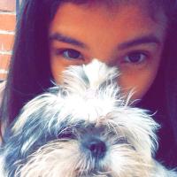 Valentina Salazar (@valeyolo1d) 's Twitter Profile