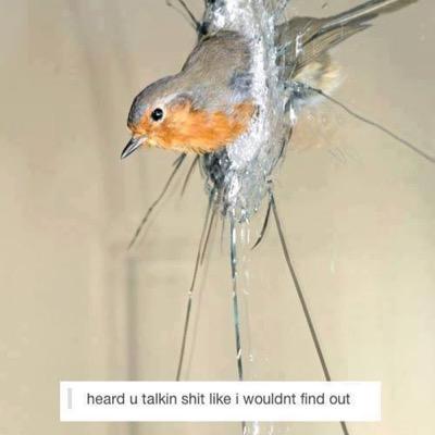 heard you were talking shit like we wouldn't find out